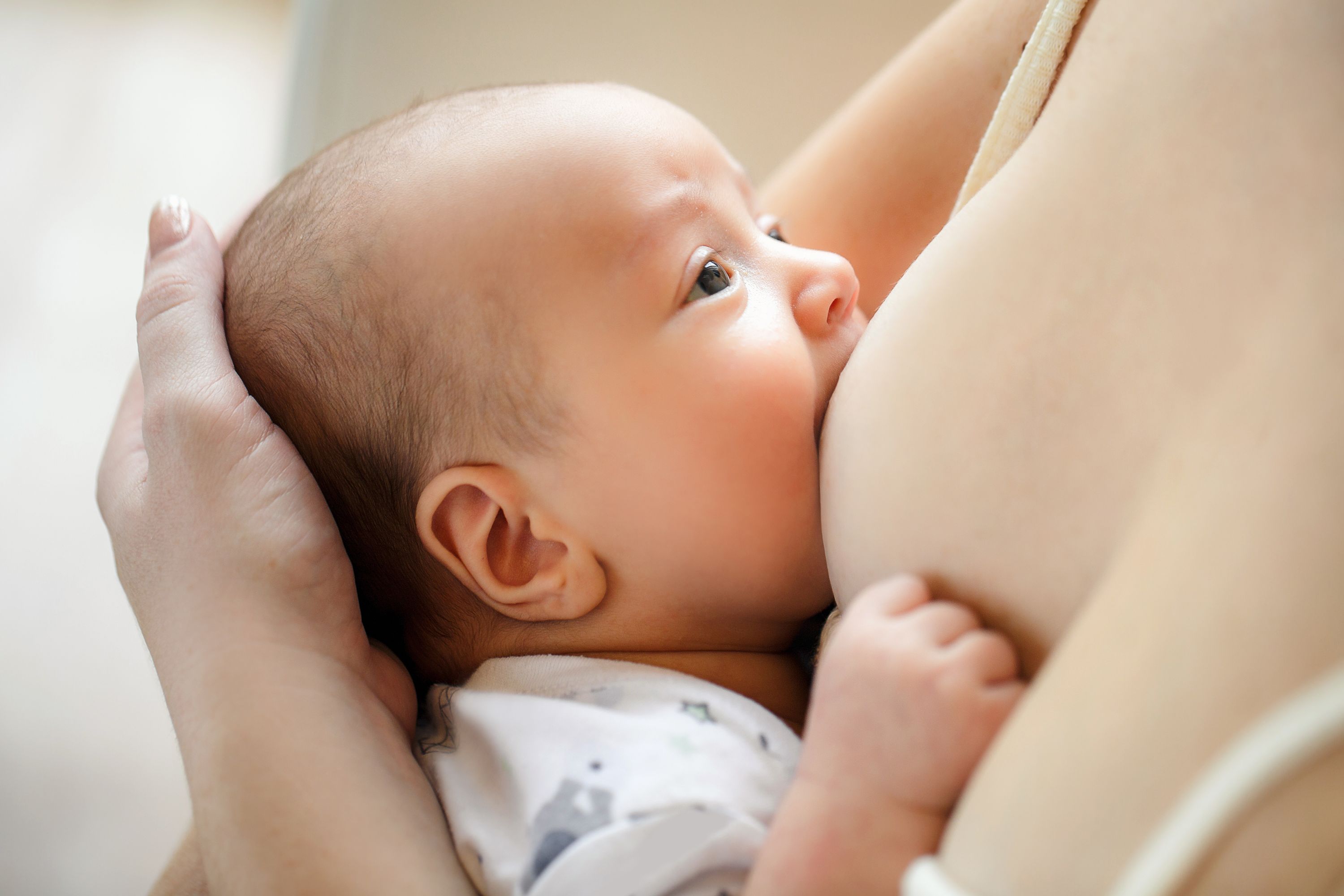 Baby drinking from mother breast