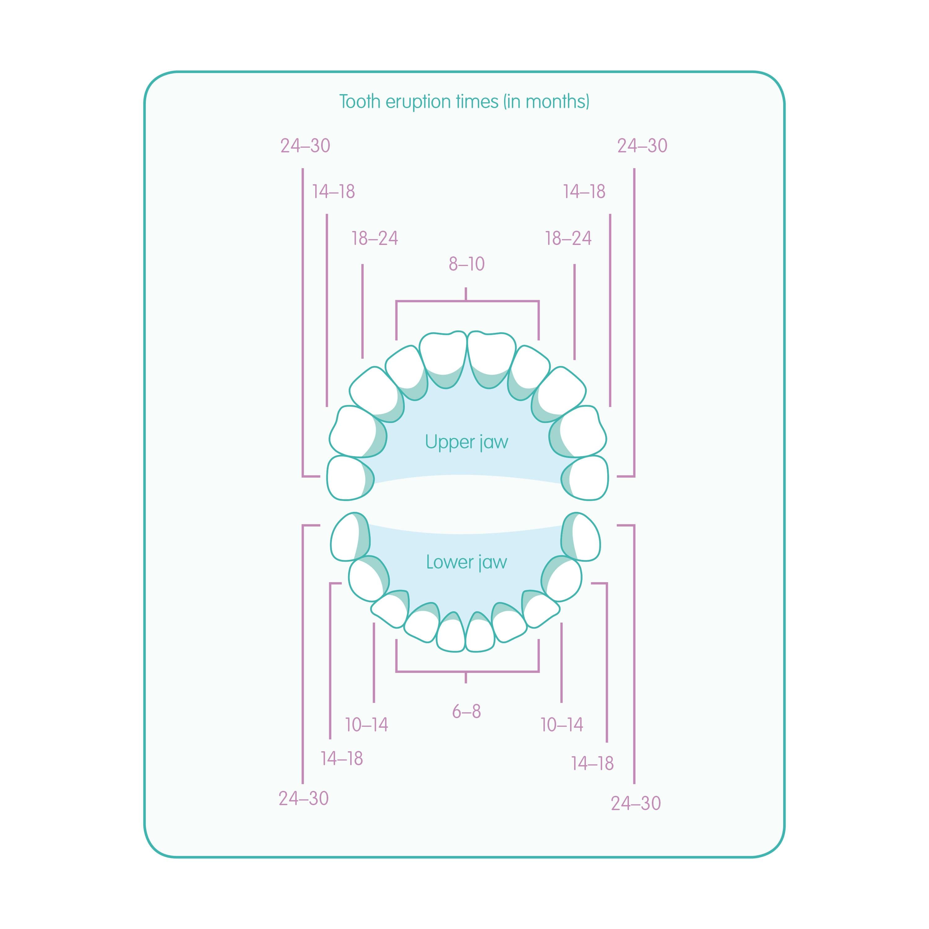 baby teething illustration