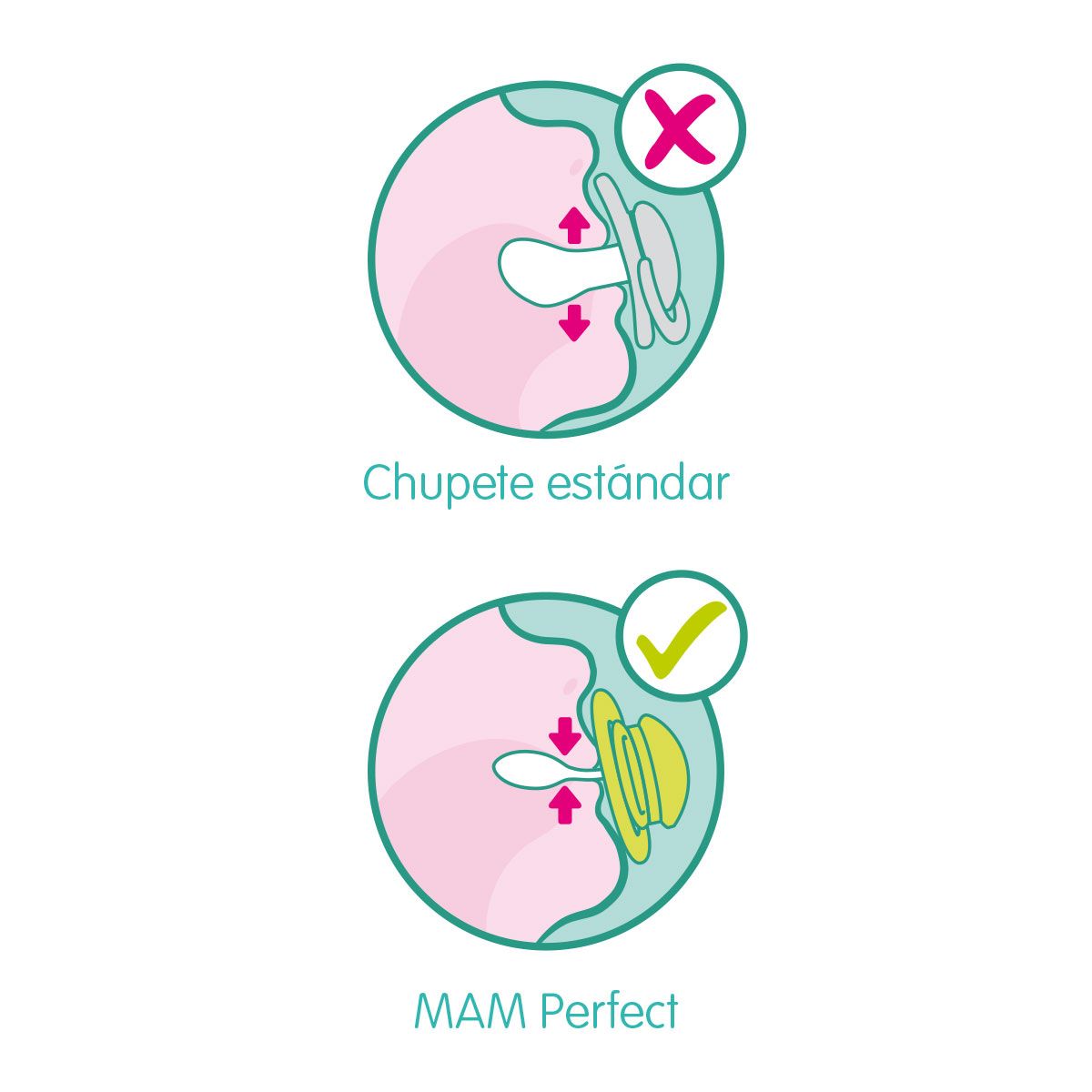 MAM Perfect Chupetes de ortodoncia (1 estuche esterilizador) MAM Chupetes  de 6 meses o más, el mejor chupete para bebés amamantados, los diseños