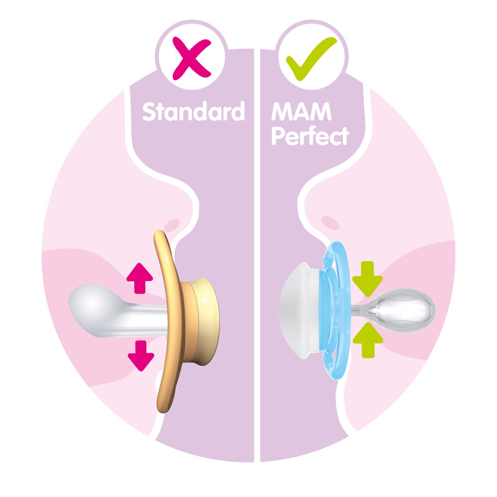 Suces MAM Perfect, suces orthodontiques (emballage de deux), suces MAM 6  mois et plus, meilleure suce pour les bébés allaités, suce pour bébé garçon  