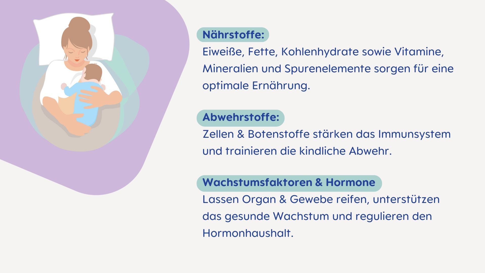 Muttermilch Inhaltsstoffe und Bestandteile MAM Baby