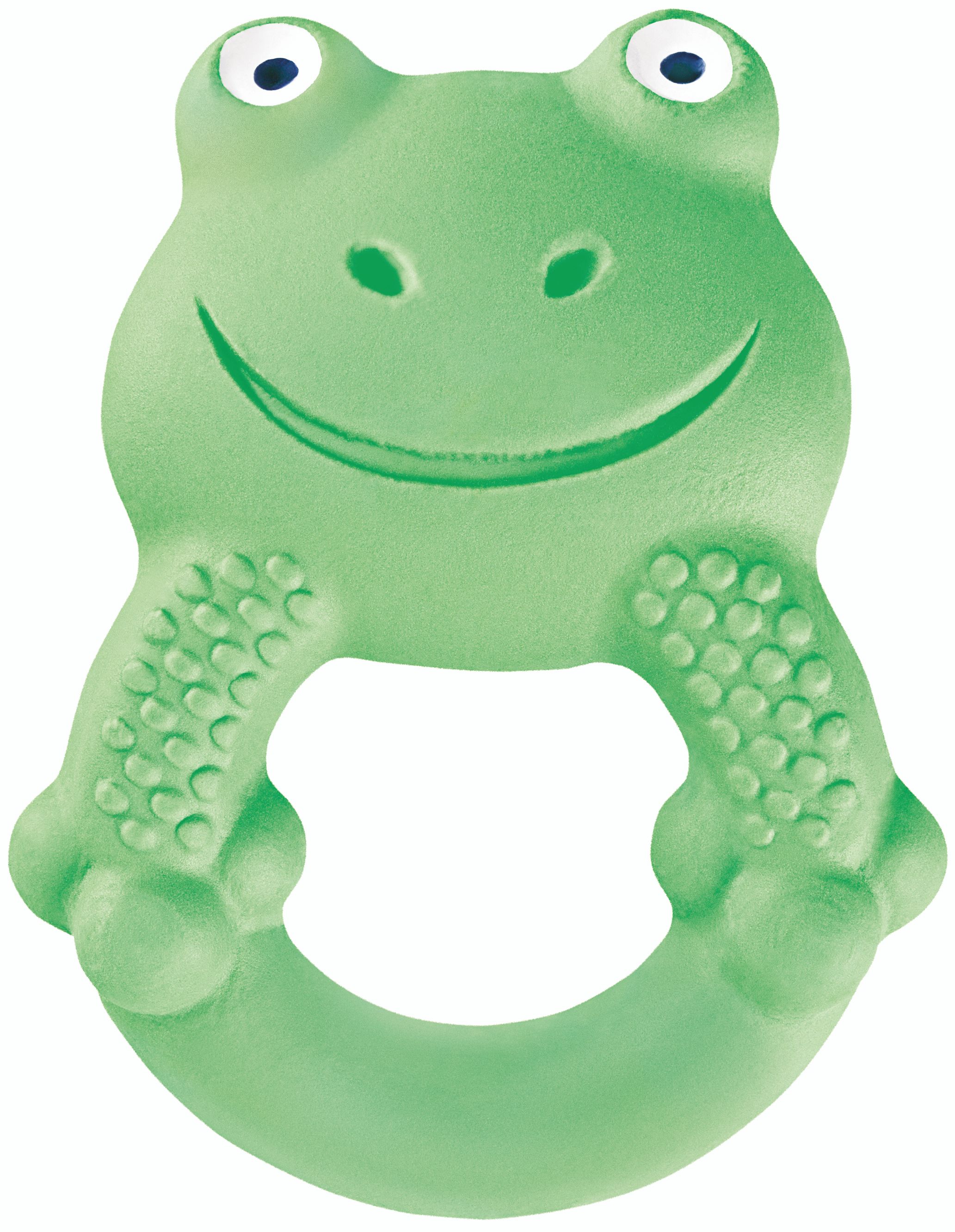 Max the Frog - Latex Developmental Toy