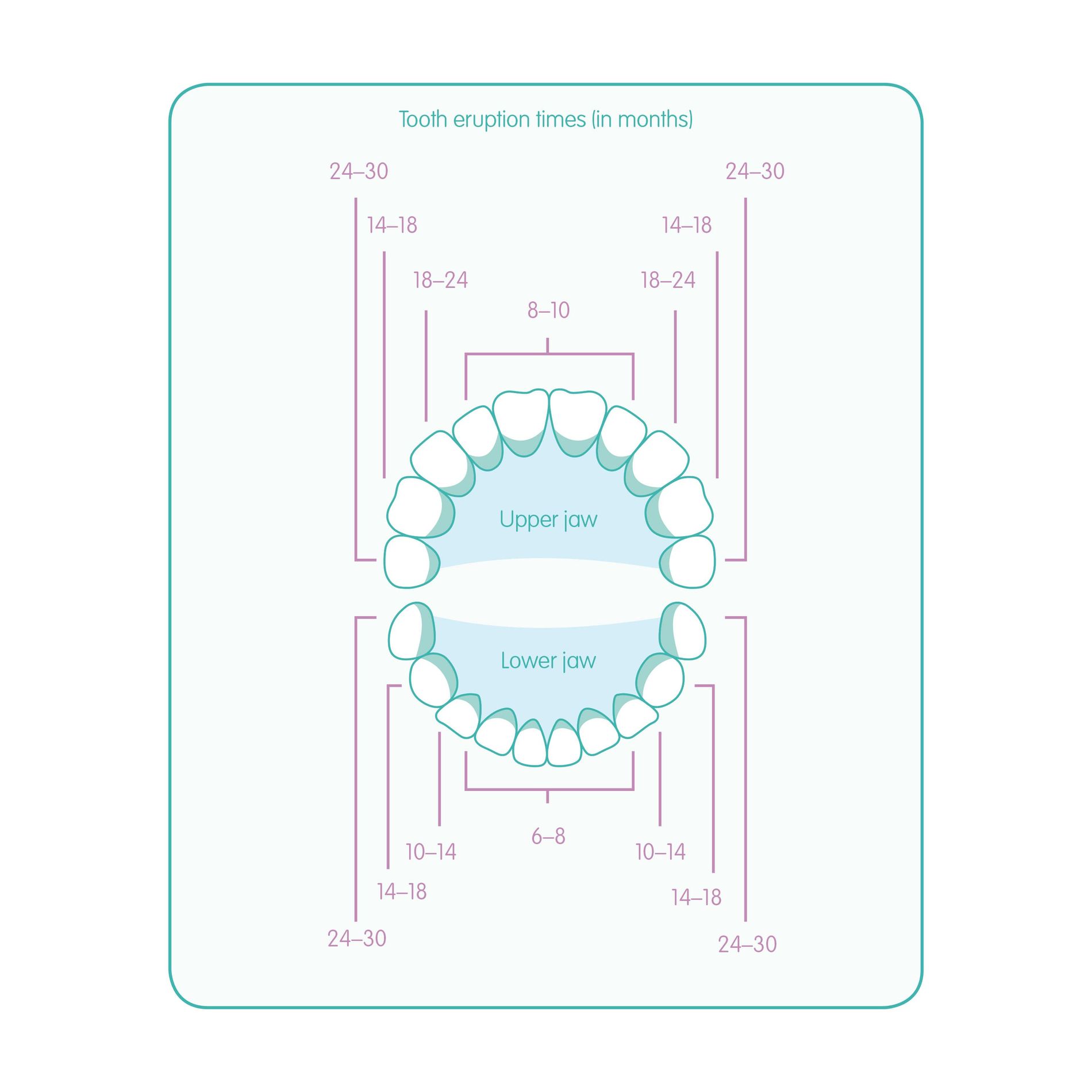 baby teething illustration