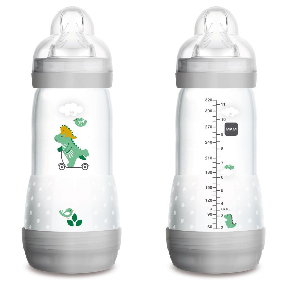 Easy Start™ Anti-Colic 320ml Flow- Baby Bottle